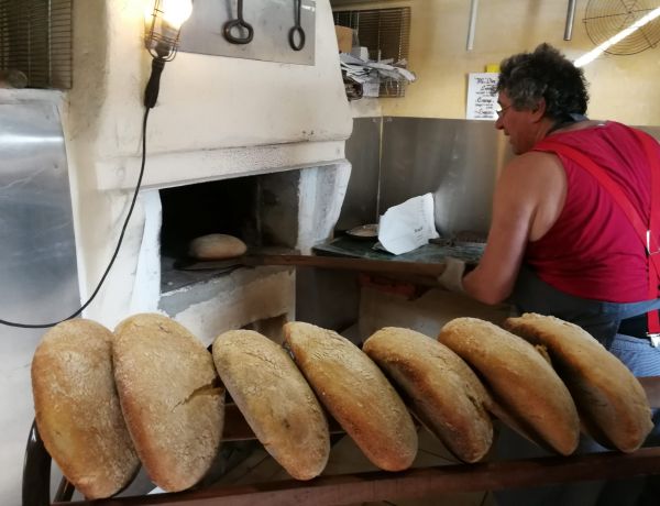 Créa-Job soutient spécifiquement les candidats entrepreneurs dans les filières agricoles et touristiques. 